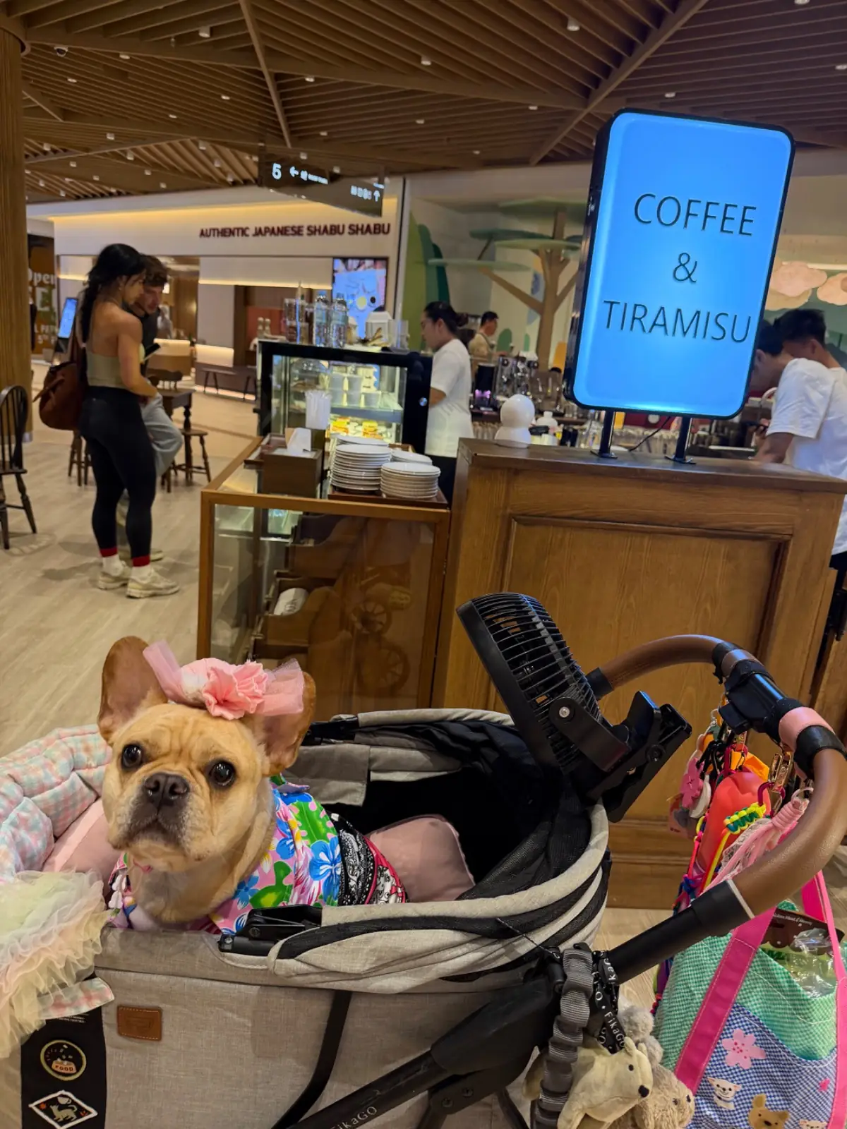 Nicolo Bakery - Central Park pets image 1