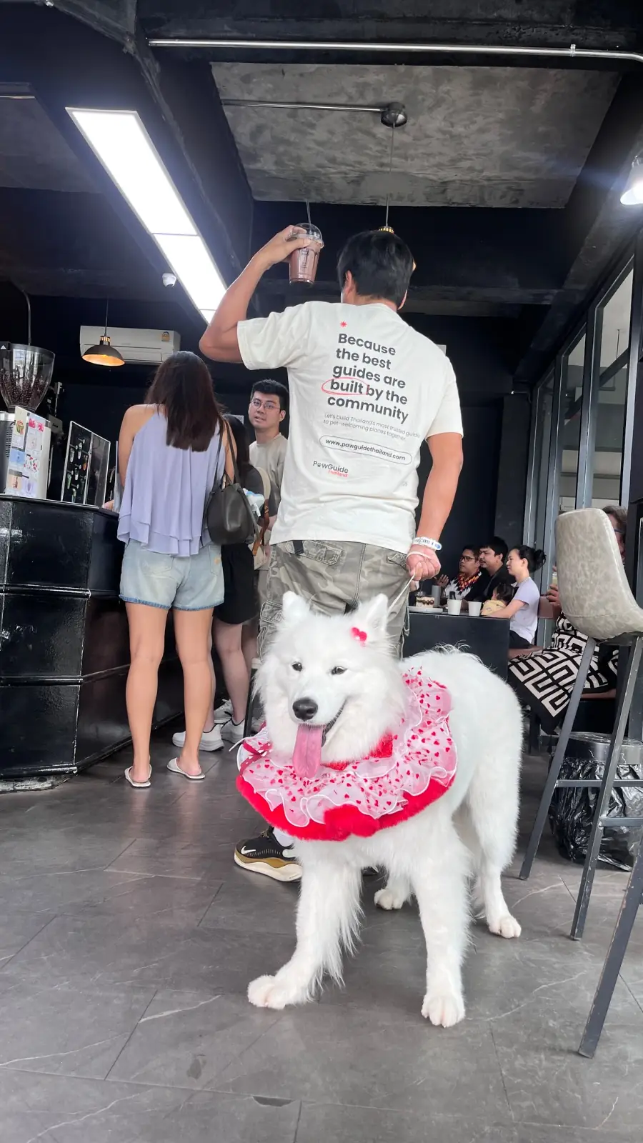 Comeback Espresso Cafe pets image 4