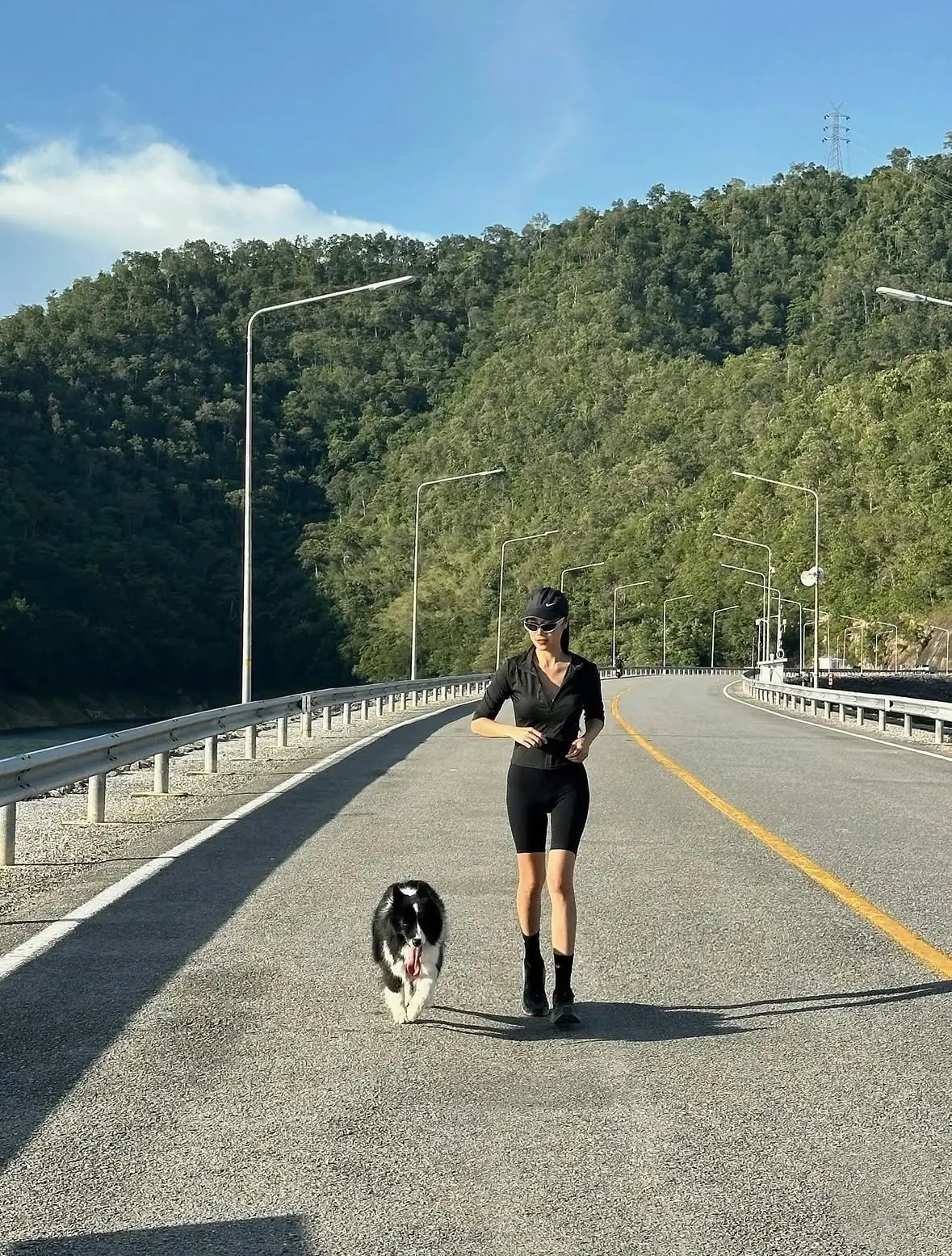 เขื่อนศรีนครินทร์ pets image 1