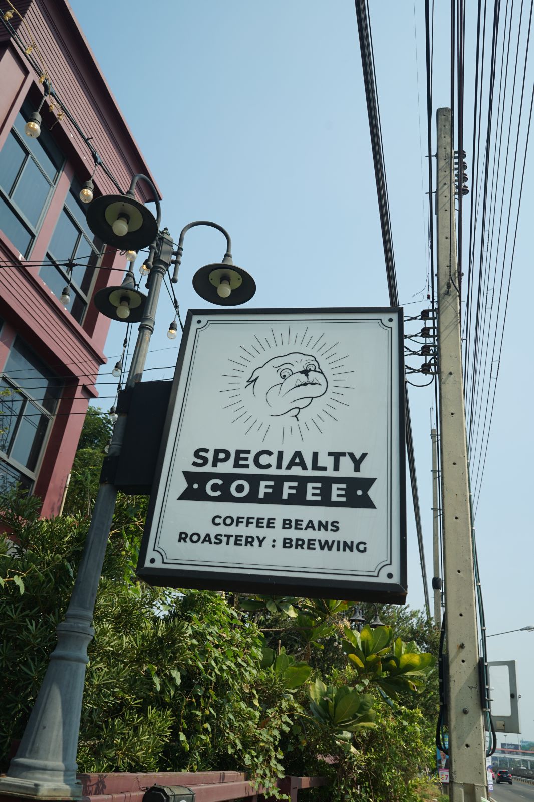 Cherrydog Coffee Roaster ambiance image 15