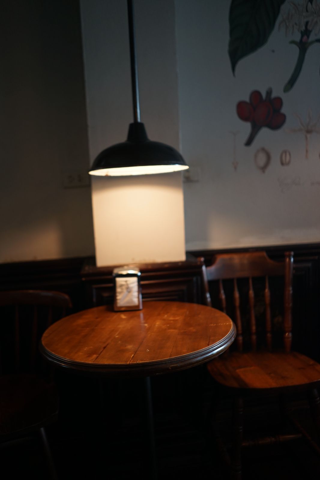 Cherrydog Coffee Roaster ambiance image 9