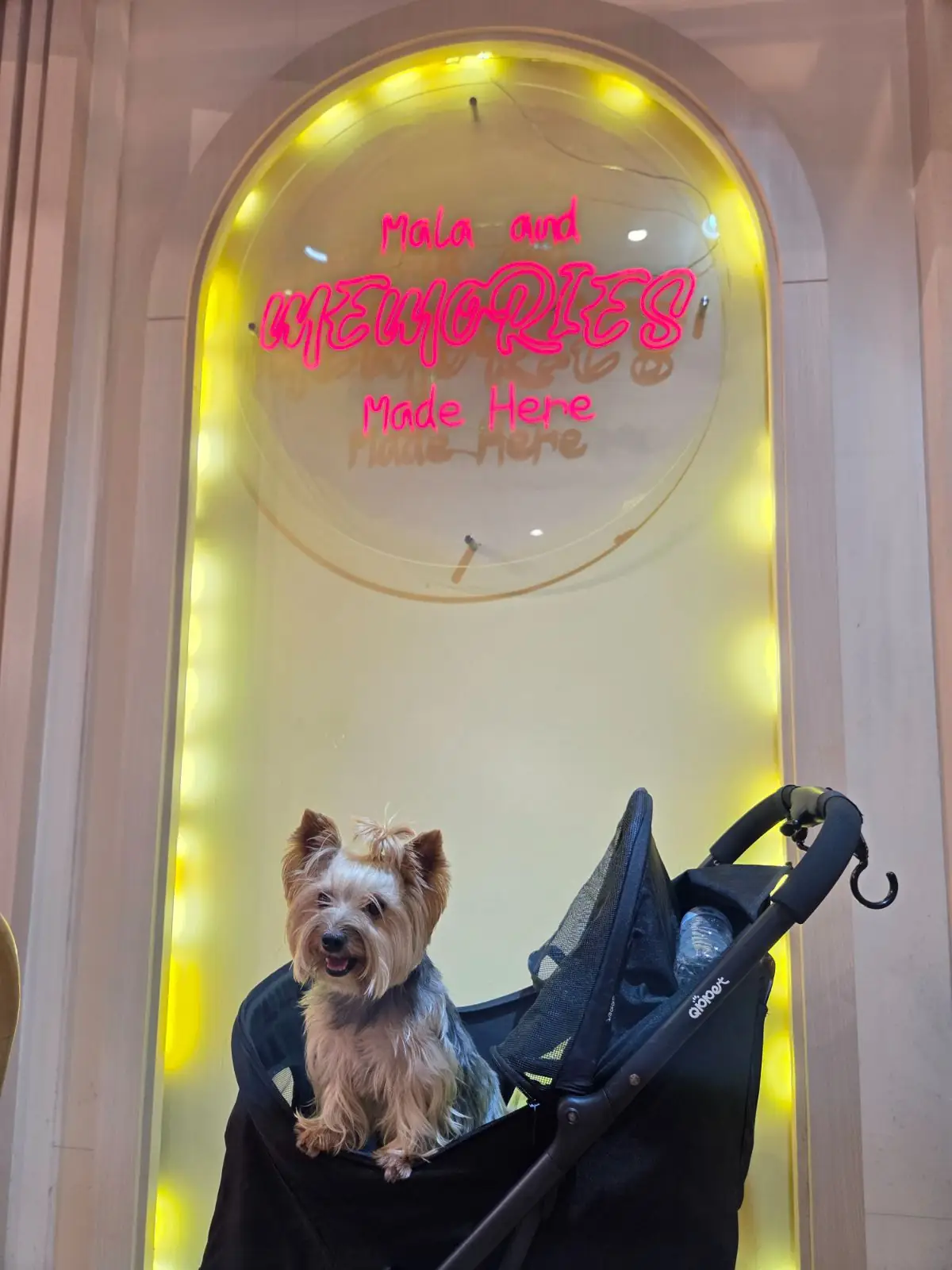 The Spicy House - Terminal 21 Rama 3 pets image 1