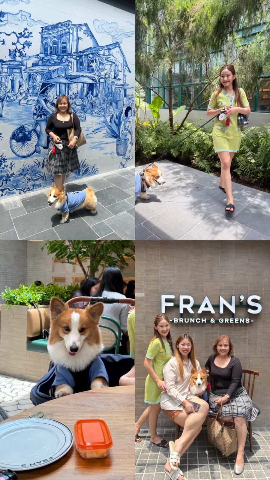 Fran's Ari pets image 2