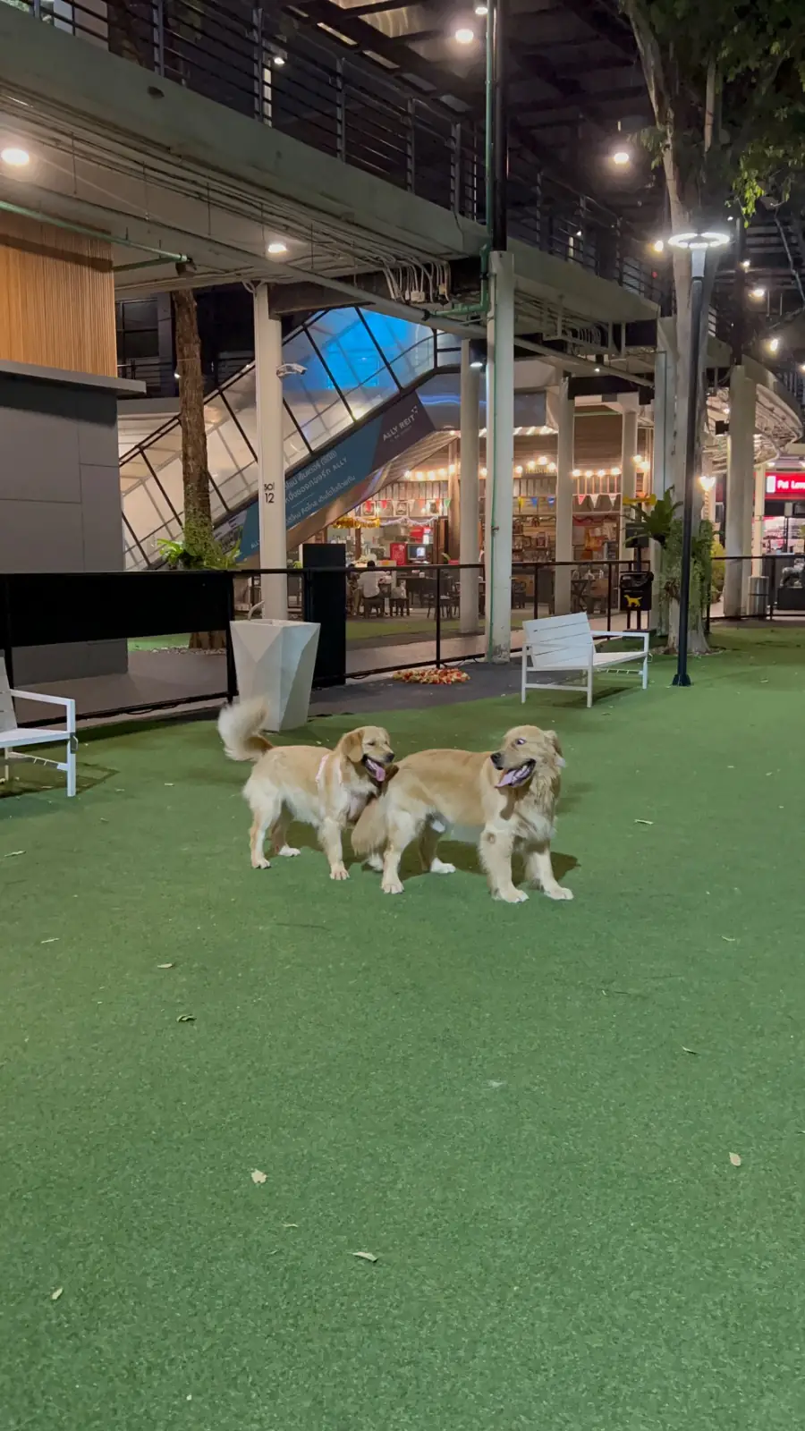 CDC Pet Park other image 6