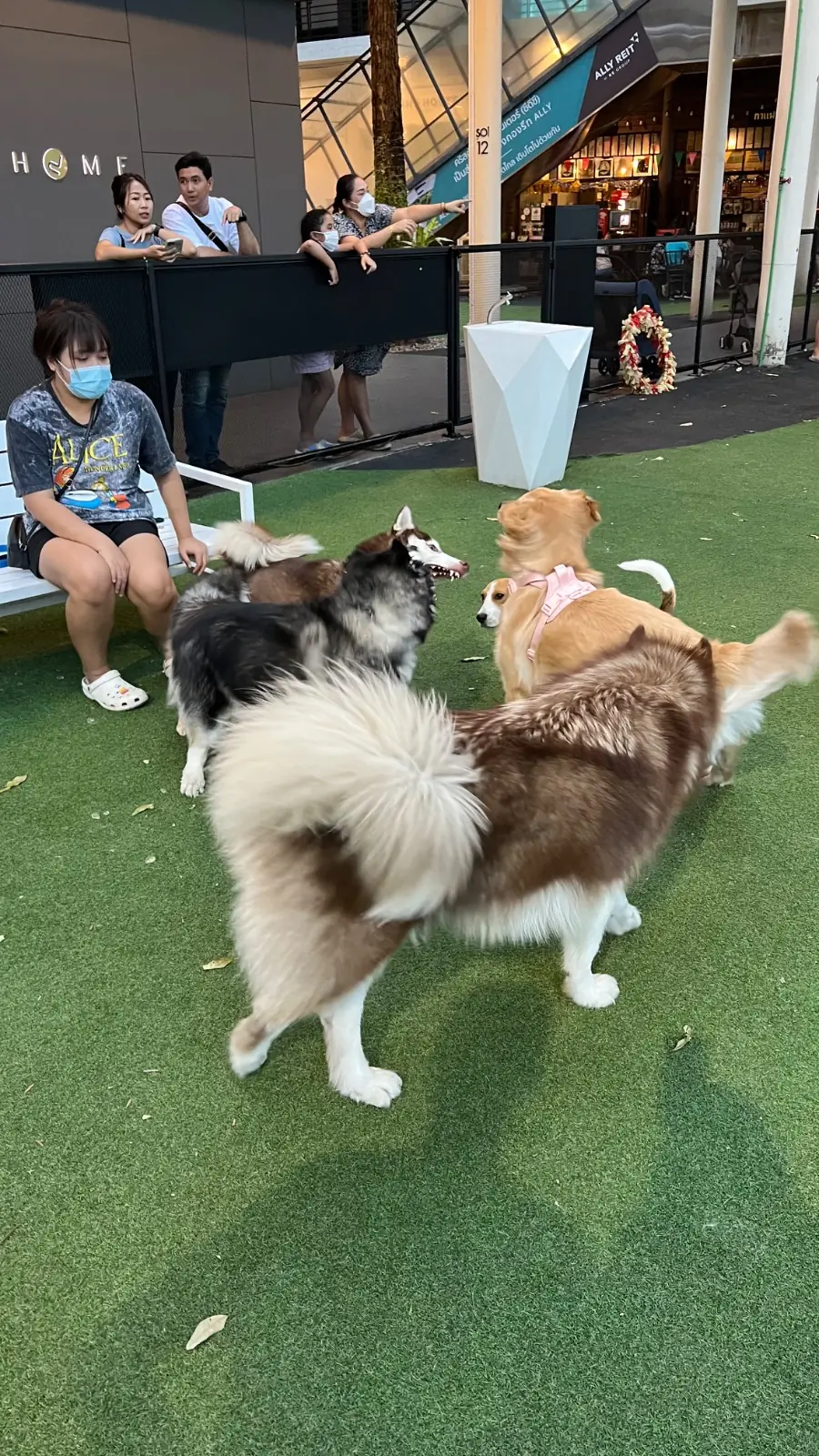 CDC Pet Park other image 4