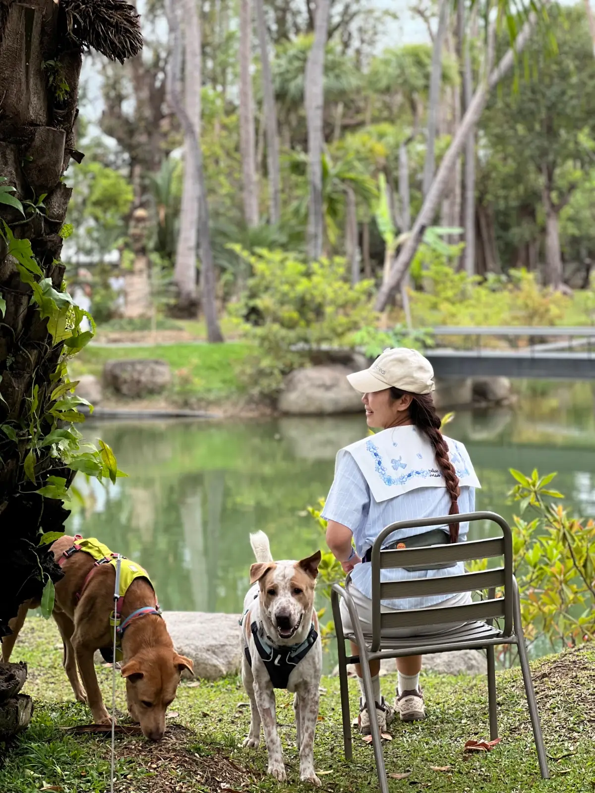 Changethong heritage pets image 1