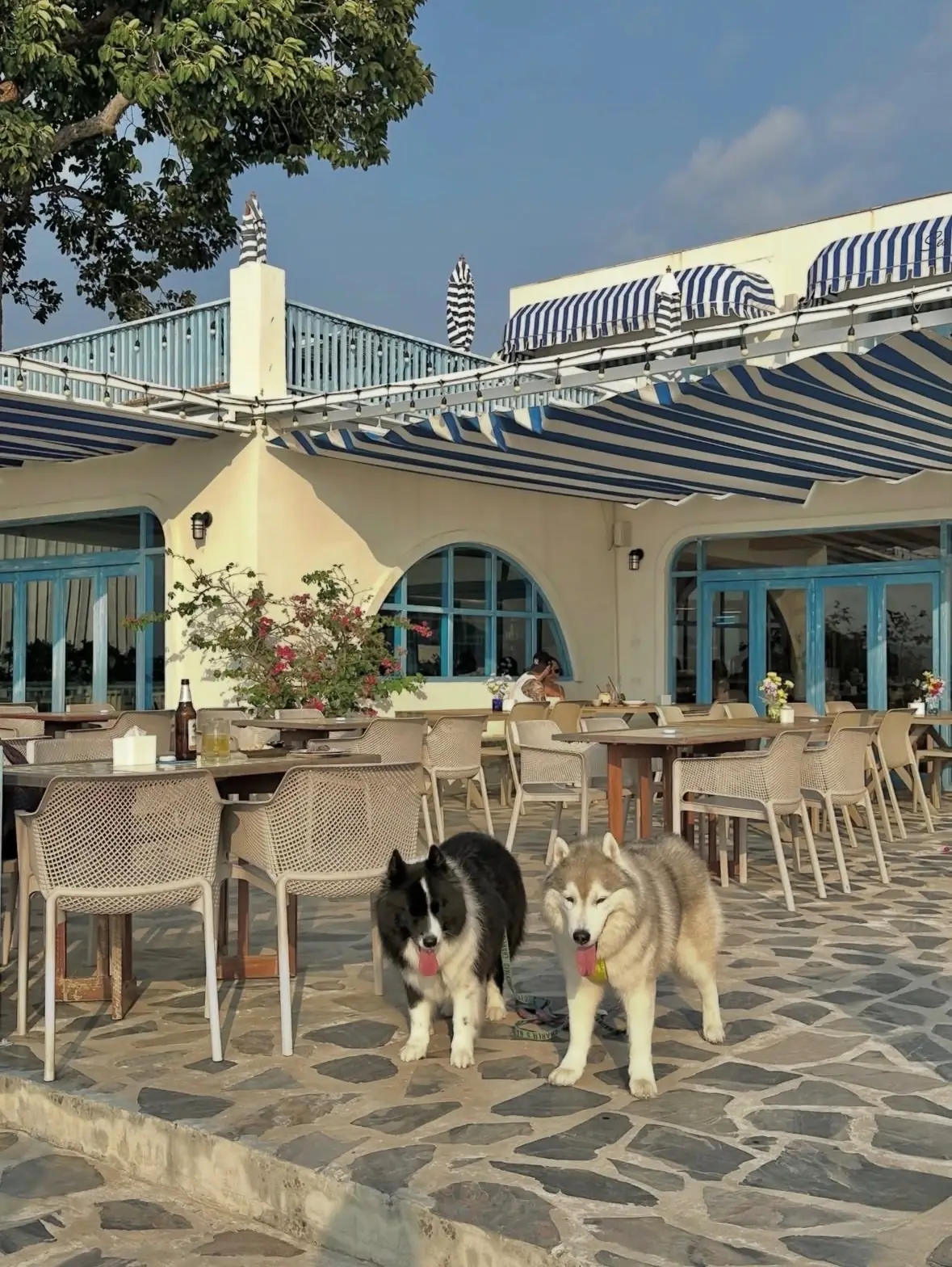 See of Love pets image 3