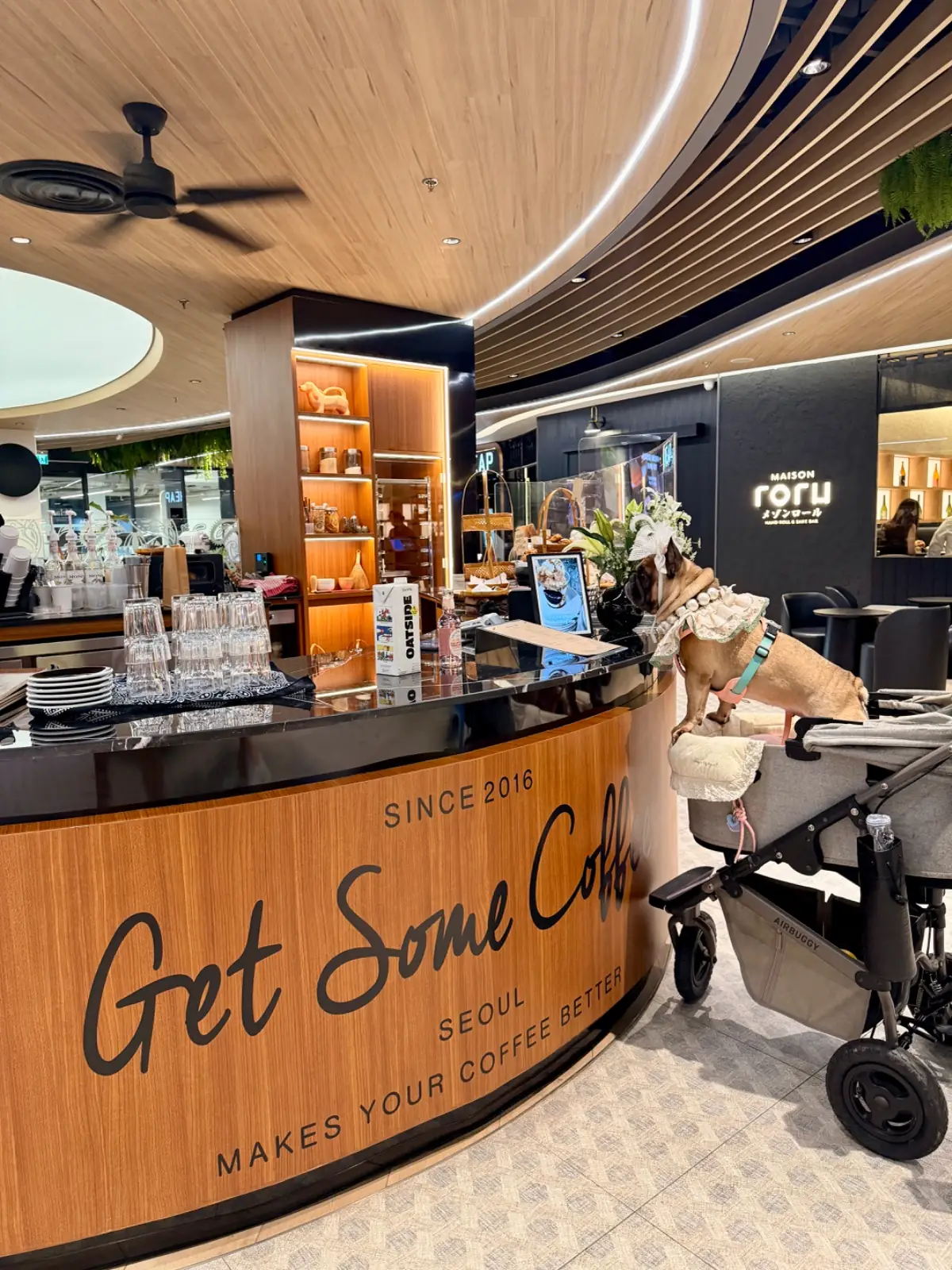 Get Some Coffee - Velaa Lang Suan pets image 3