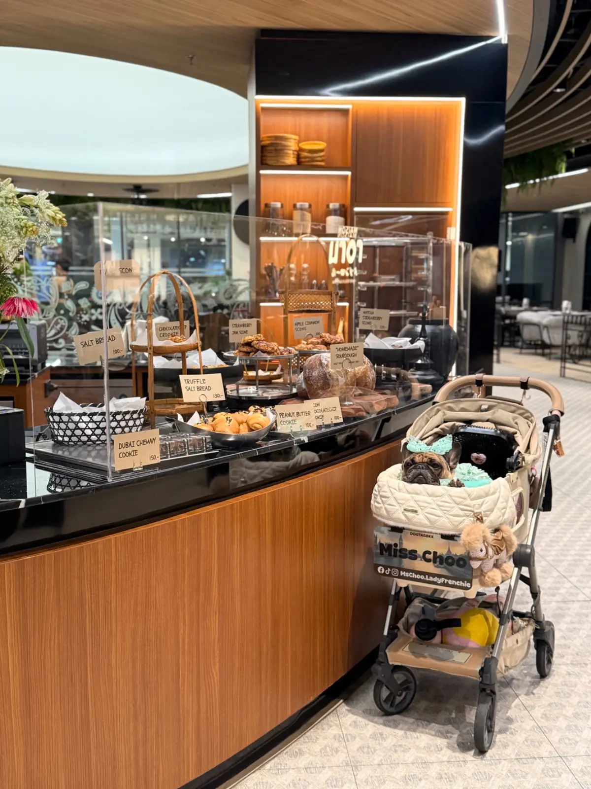 Get Some Coffee - Velaa Lang Suan pets image 4