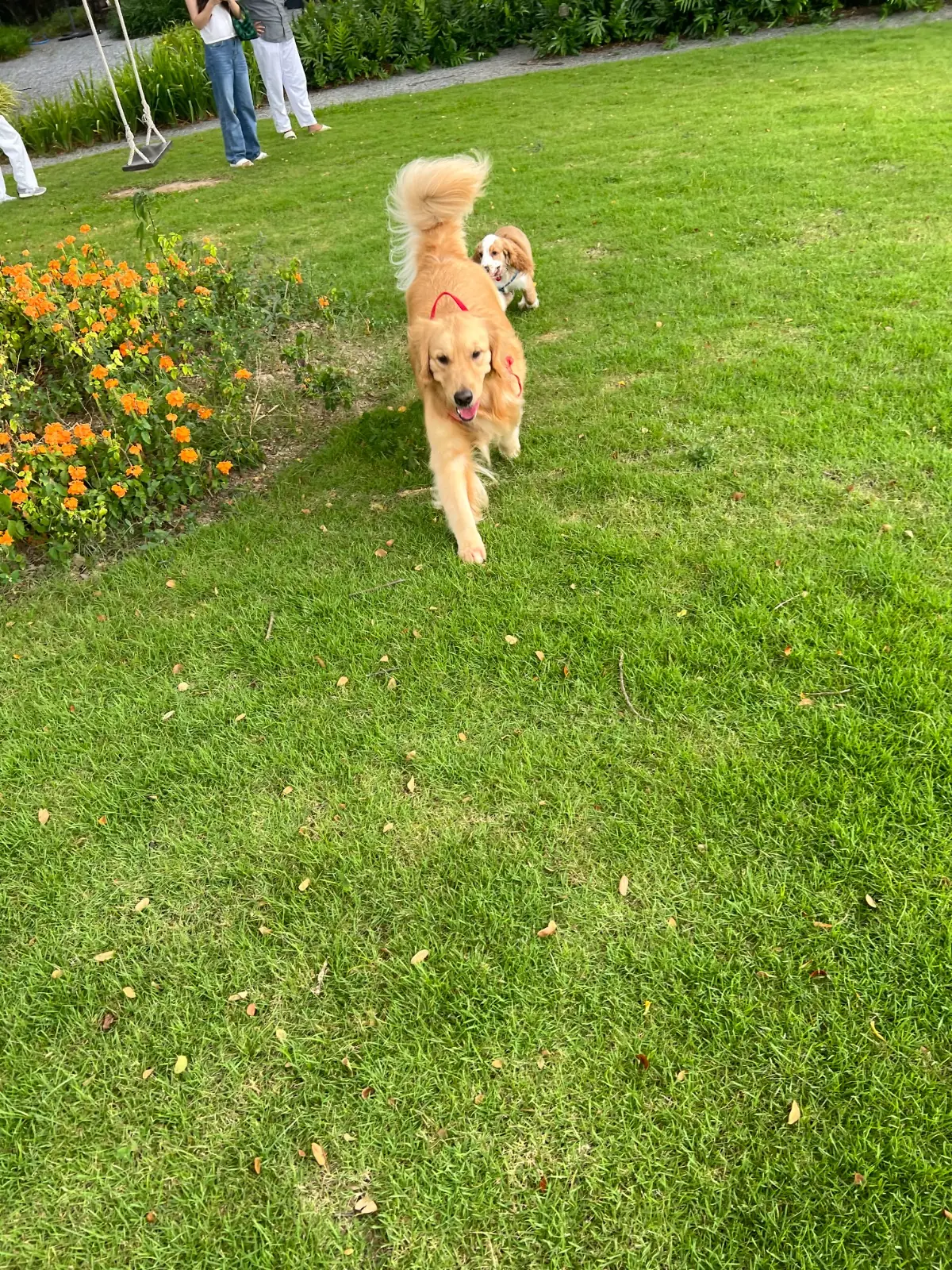 BOK BOK Society other image 3