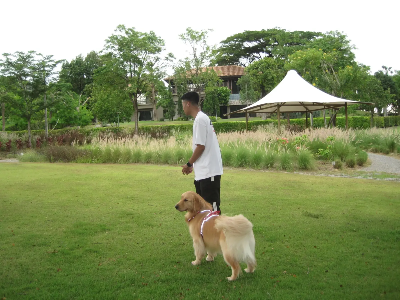 BOK BOK Society other image 4