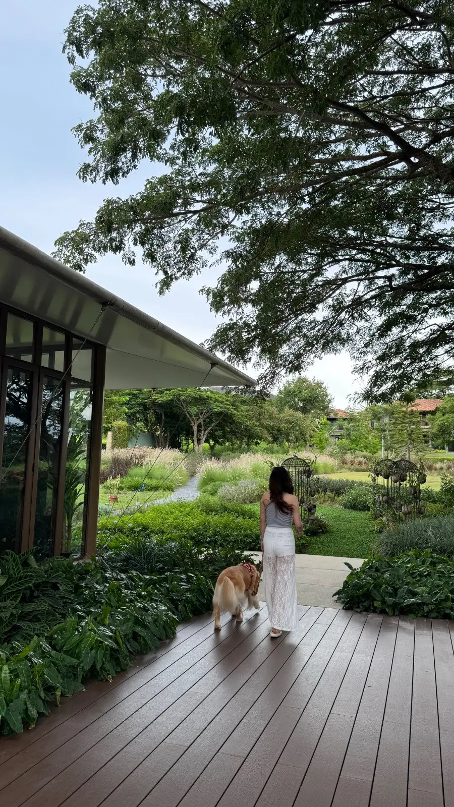 BOK BOK Society overall image 1