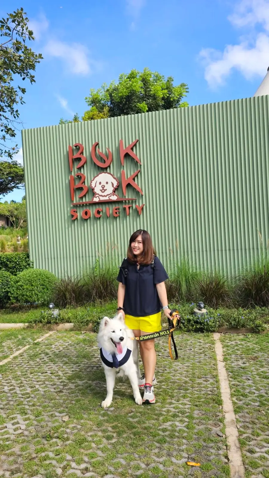 BOK BOK Society overall image 2