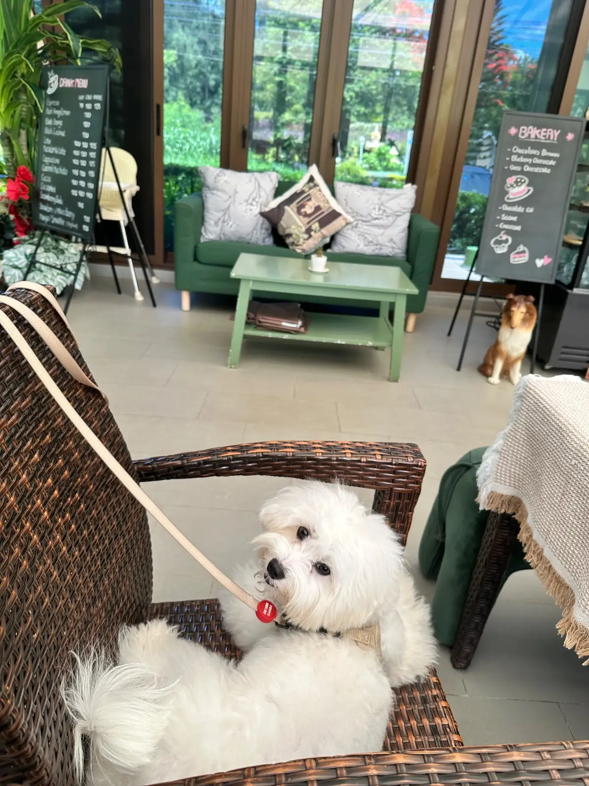 BOK BOK Society pets image 2