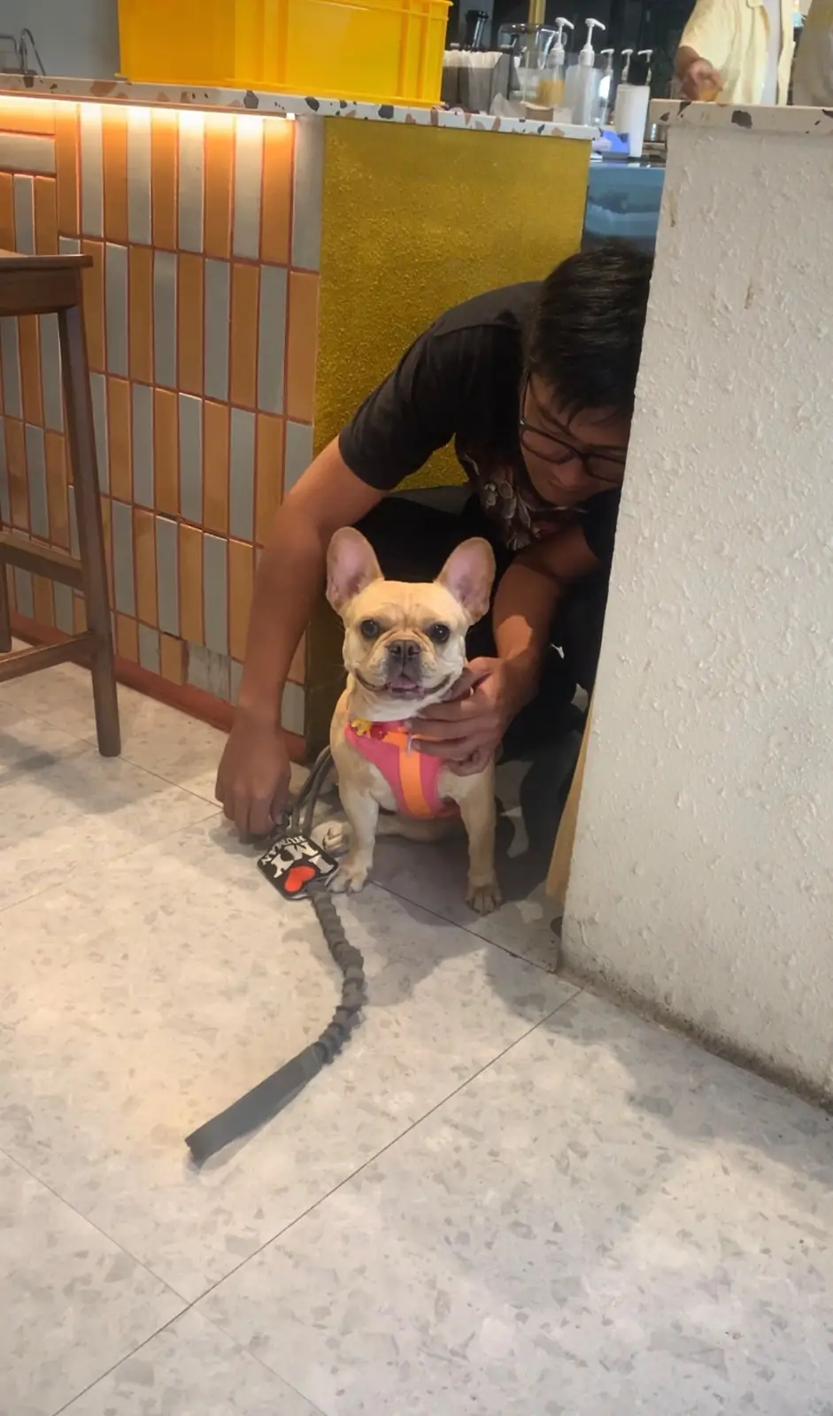 The Summer Coffee - Talat Noi pets image 2