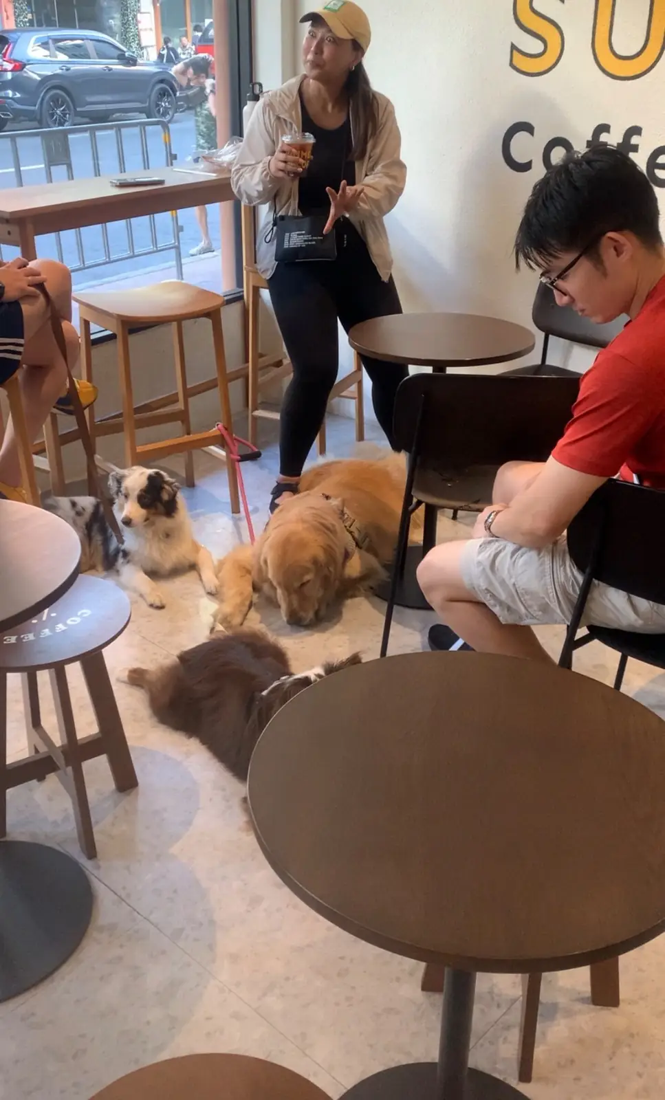 The Summer Coffee - Talat Noi pets image 5