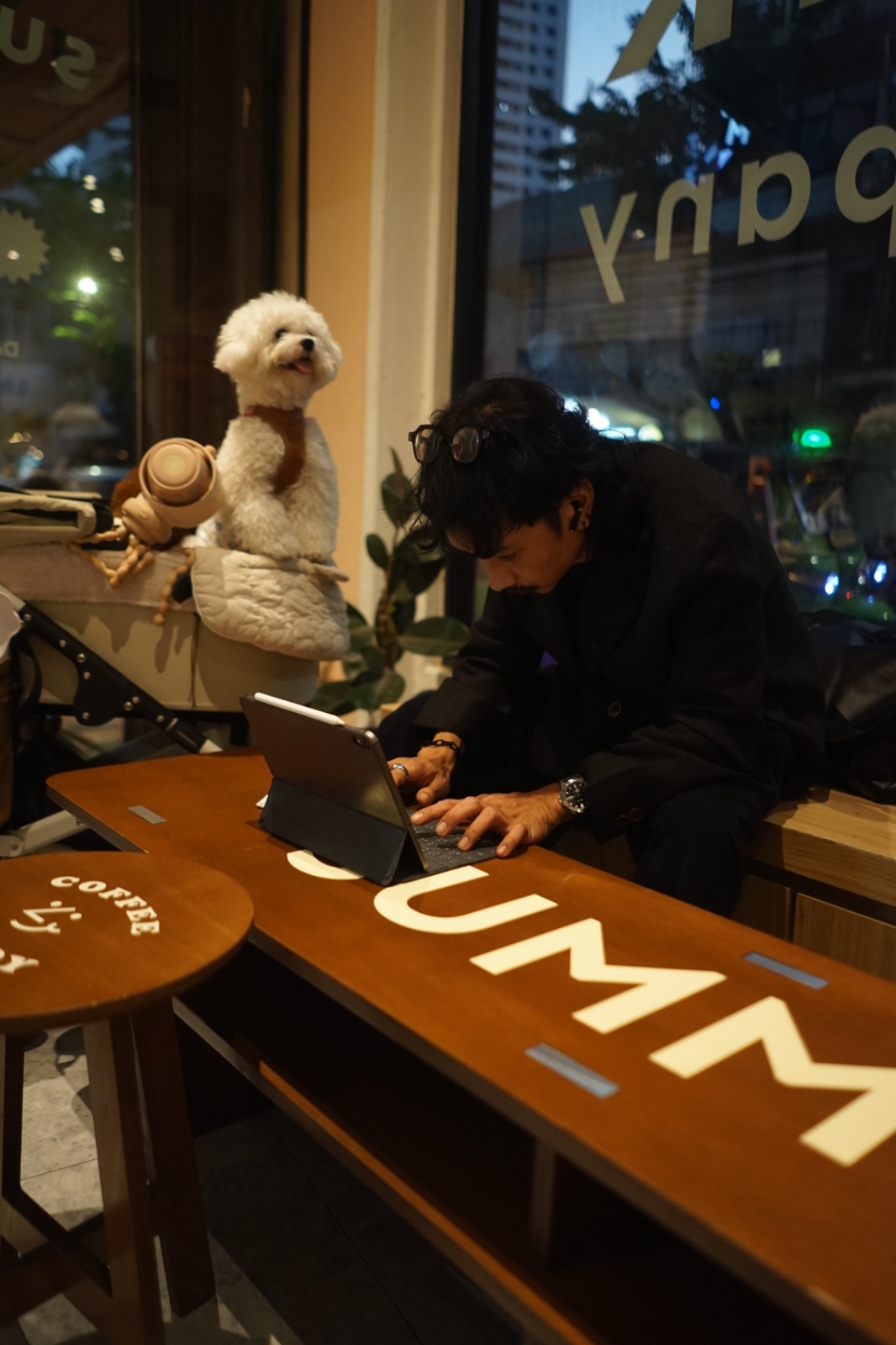 The Summer Coffee - Talat Noi pets image 1