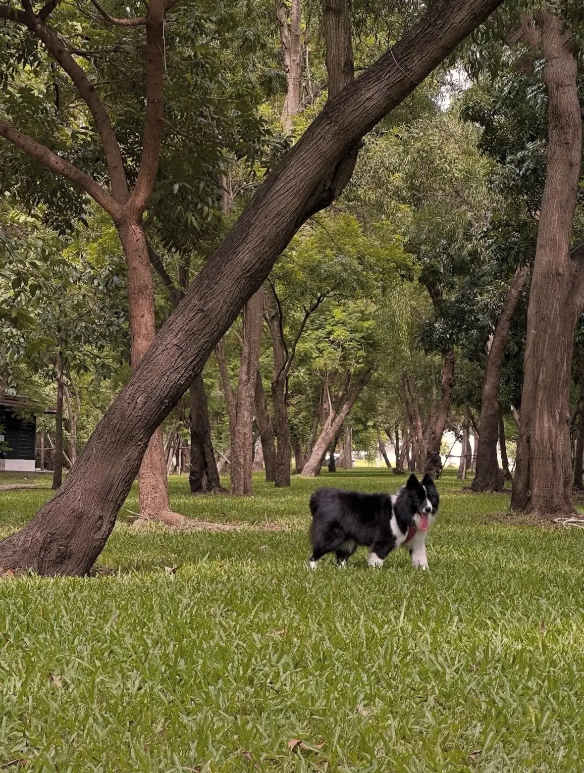 Thammasat Park overall image 1