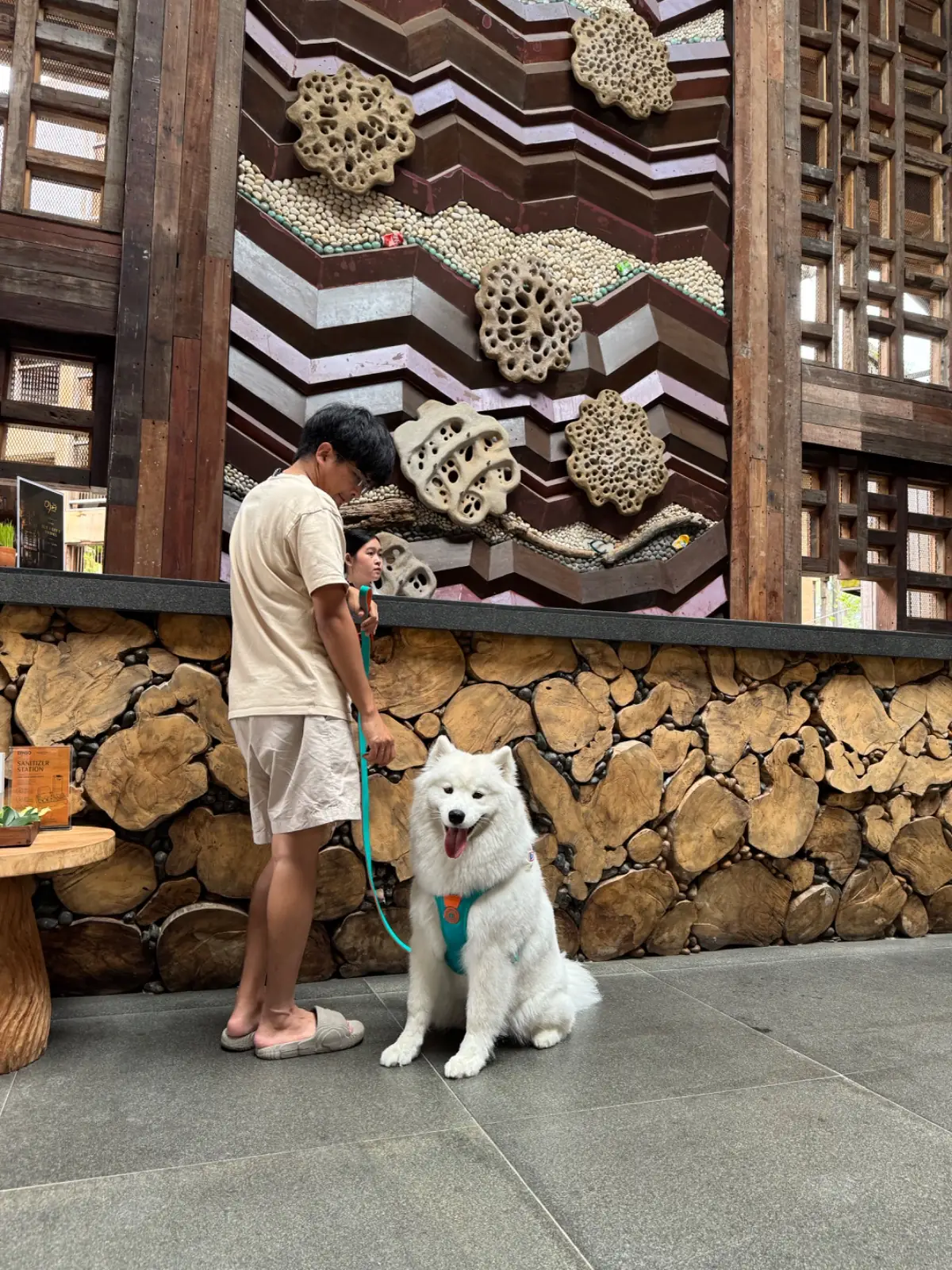 Dinsor Resort & Villa Koh Chang - Vinet Collection pets image 1