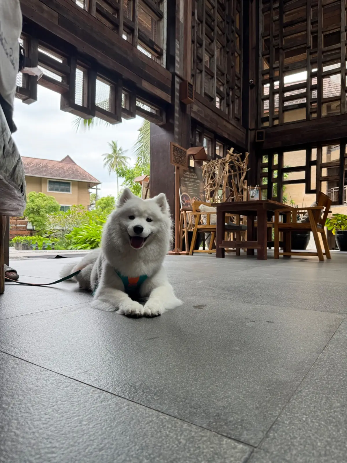 Dinsor Resort & Villa Koh Chang - Vinet Collection pets image 6