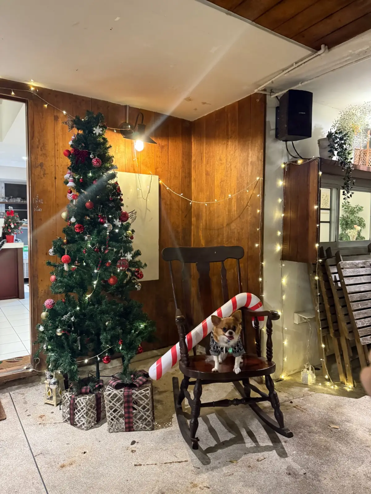 Mitt Restaurant & Space Ari pets image 5