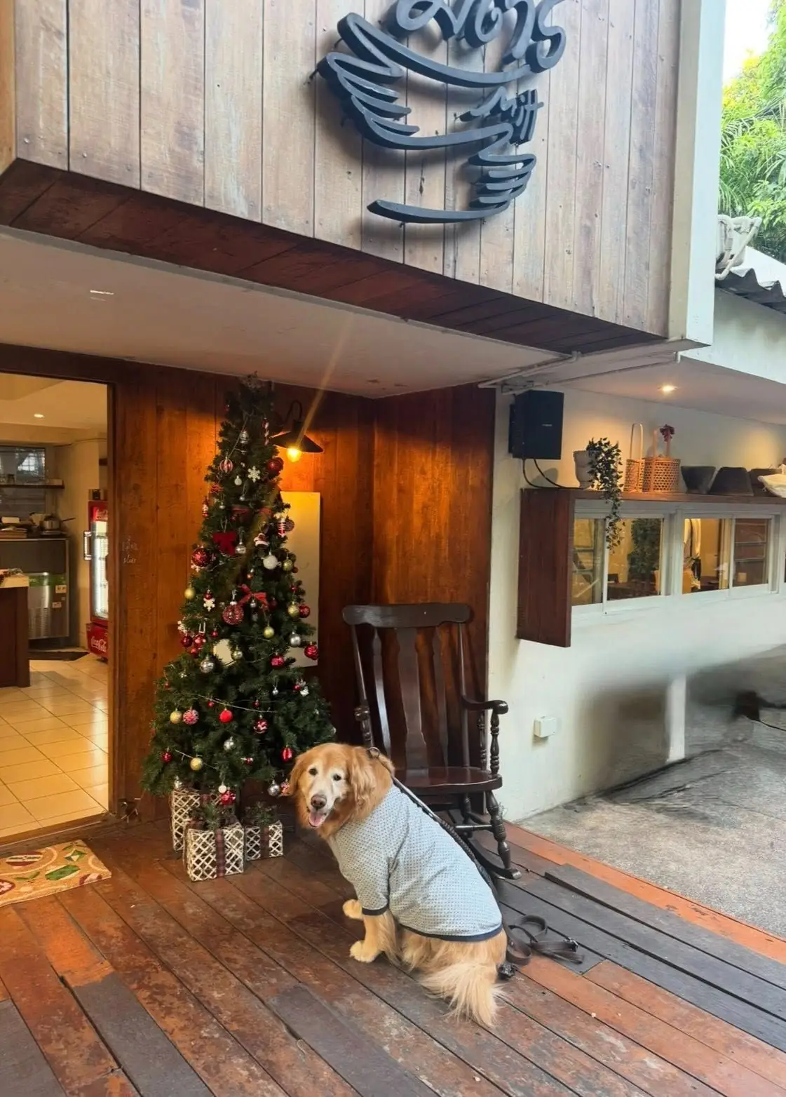 Mitt Restaurant & Space Ari pets image 3