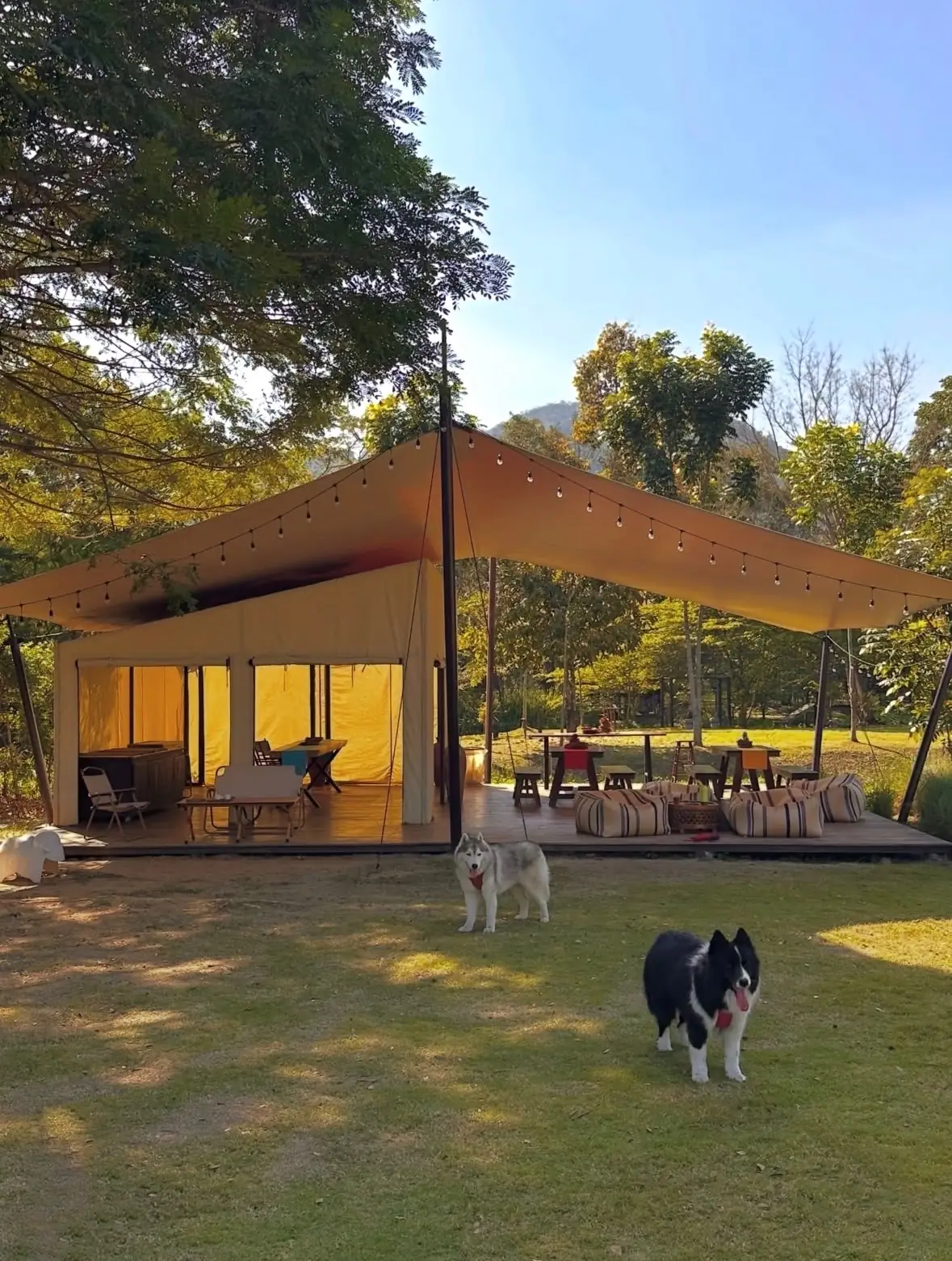 Lala Mukha Tented Khao Yai pets image 1