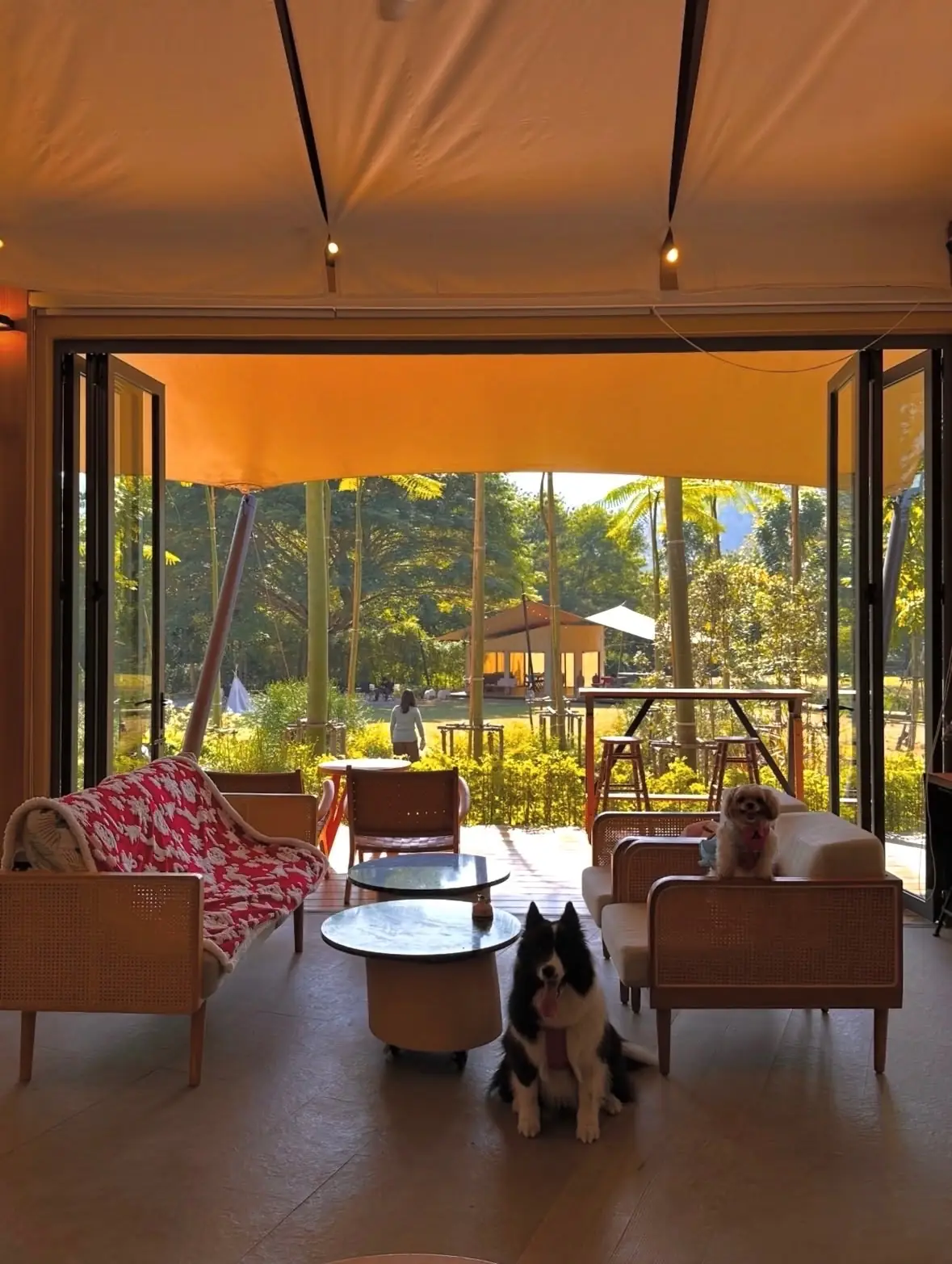 Lala Mukha Tented Khao Yai pets image 3