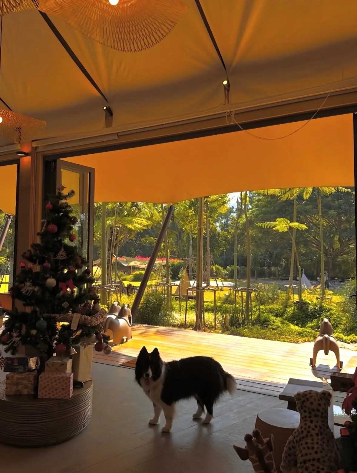 Lala Mukha Tented Khao Yai pets image 2