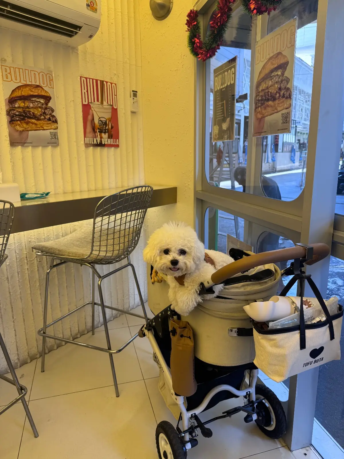 Bulldog Burgers Silom pets image 1