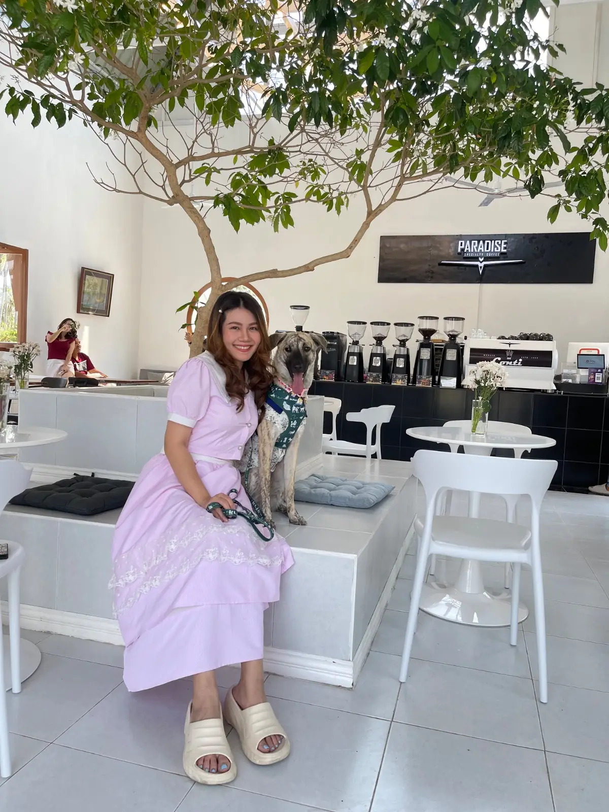 The Paradise Cafe' pets image 2