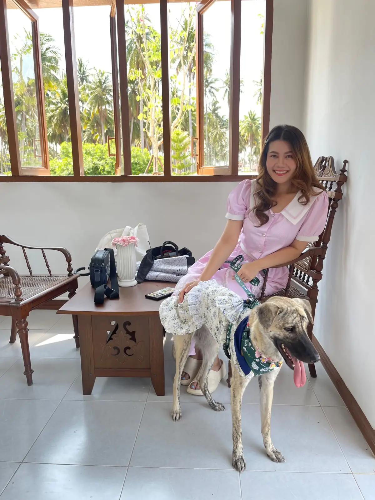 The Paradise Cafe' pets image 3