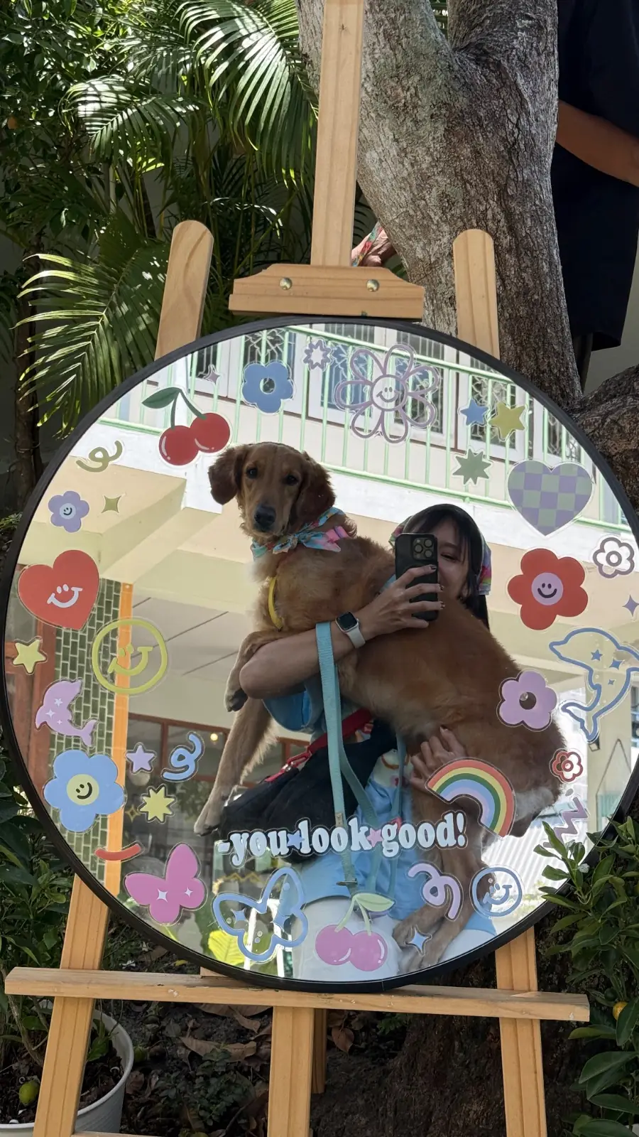 Sunshine Blend Home Cafe pets image 8
