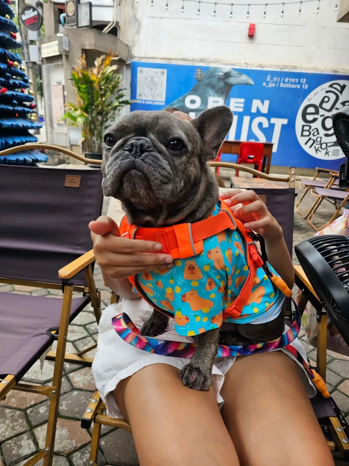 E-ga sathorn 12 other image 2