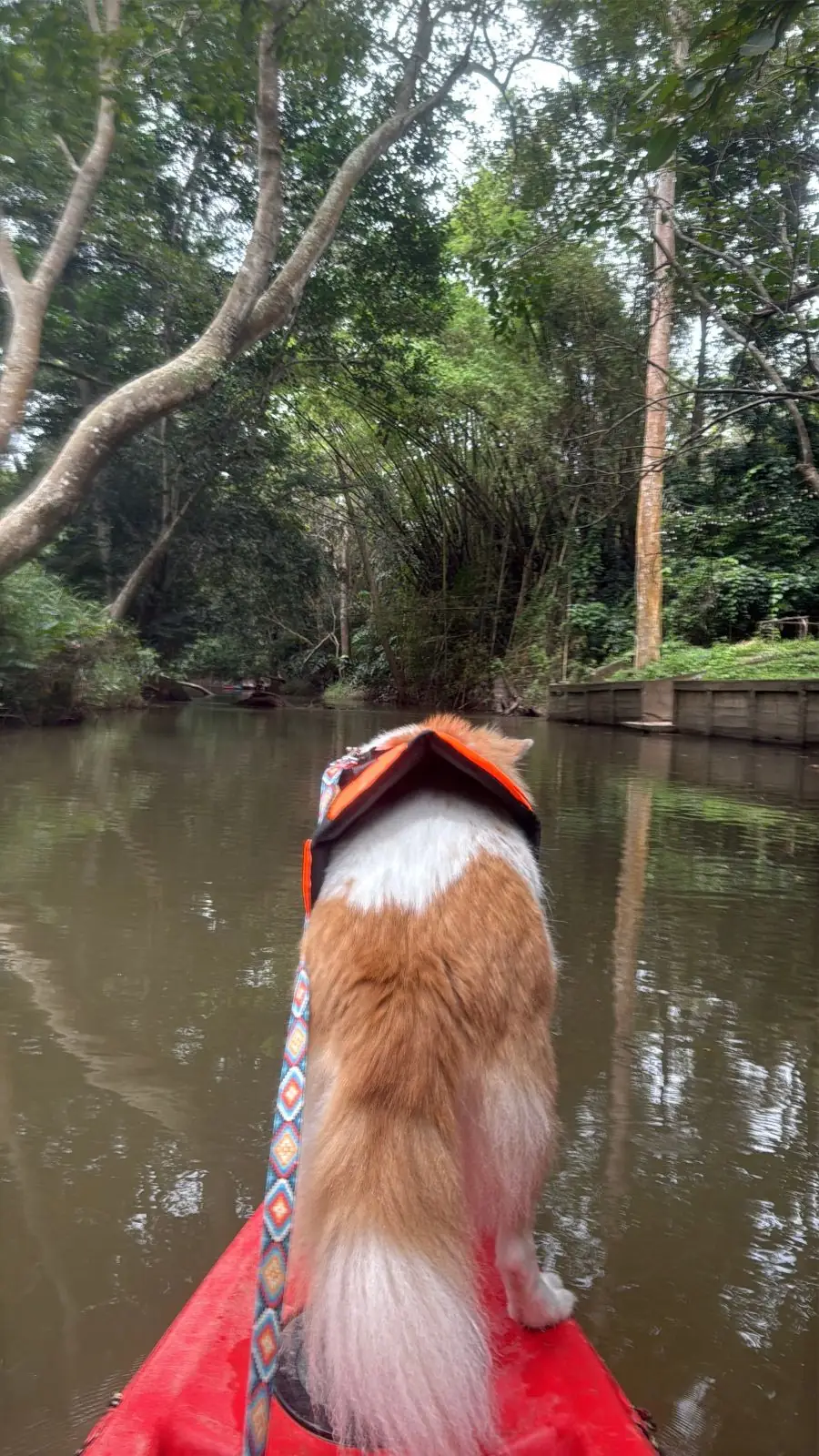 ADNATURE pets image 6