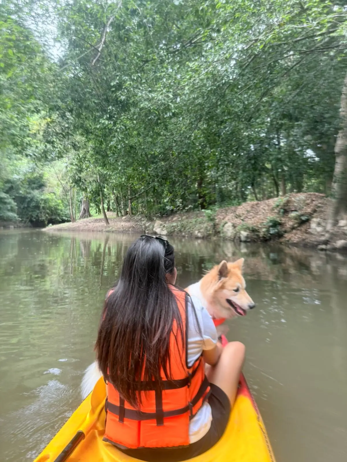 ADNATURE pets image 5