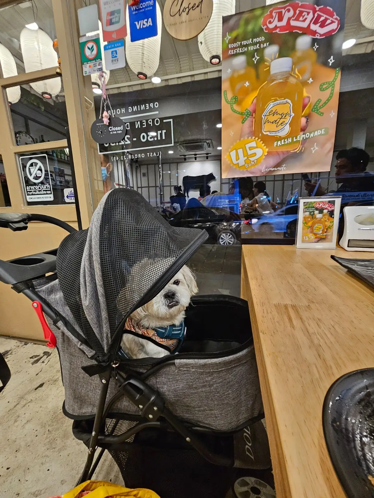 Tare Yakiniku pets image 2