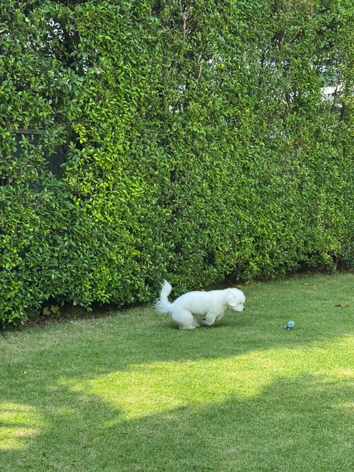 Freaking Out The Neighborhood other image 1