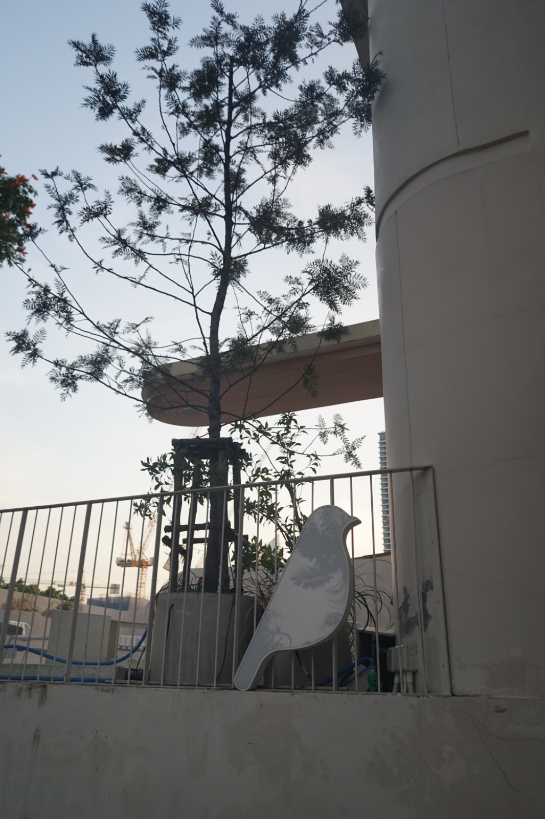 RAINFOREST ambiance image 5