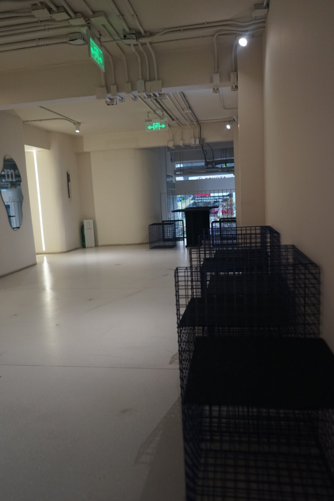 RAINFOREST ambiance image 4