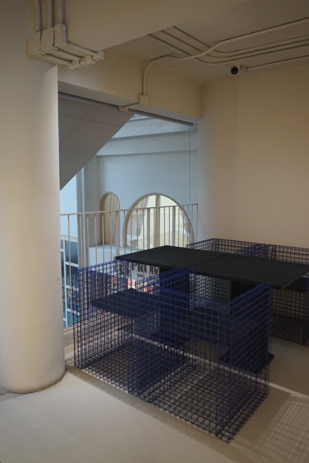 RAINFOREST ambiance image 9