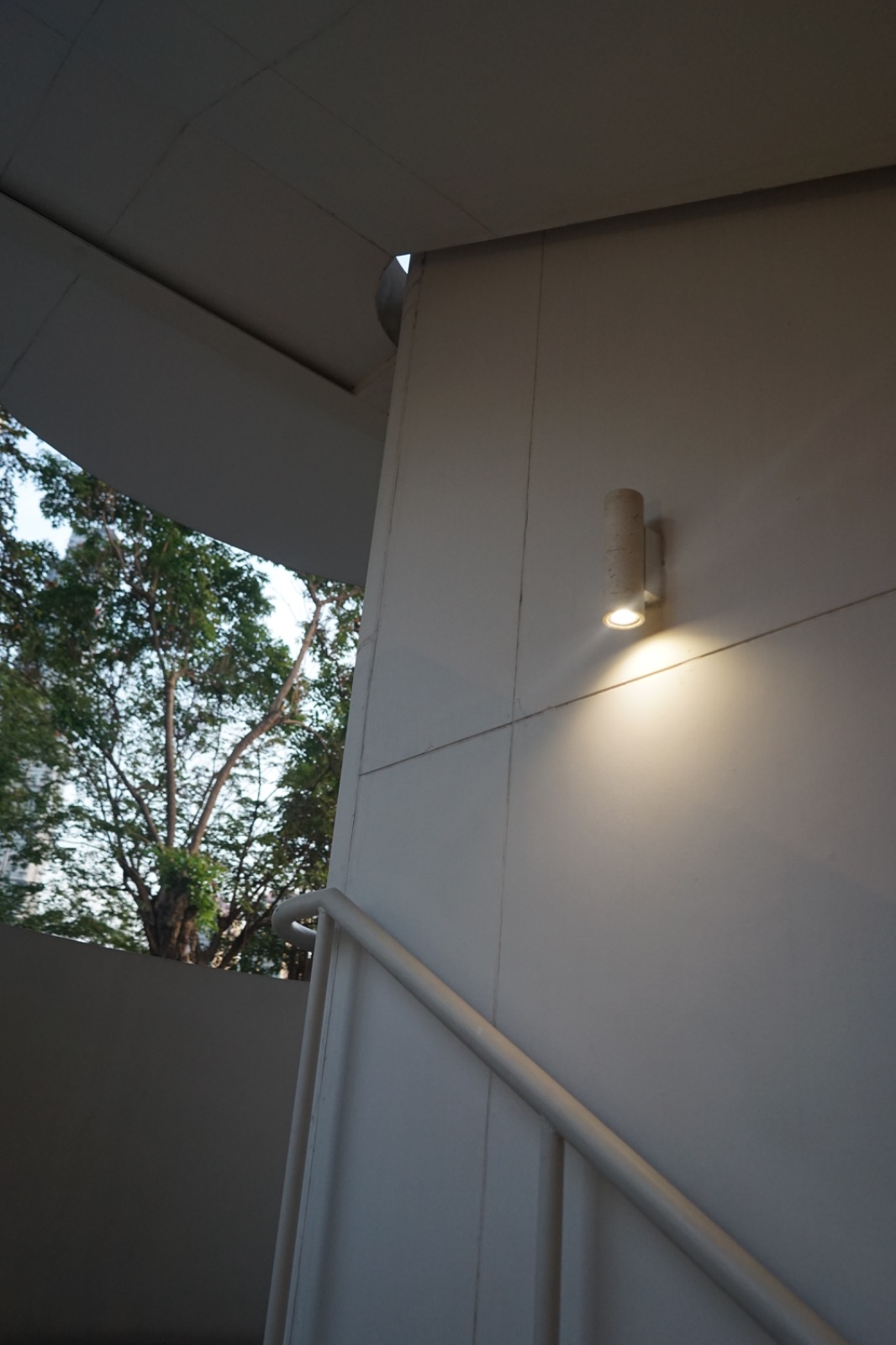 RAINFOREST ambiance image 7