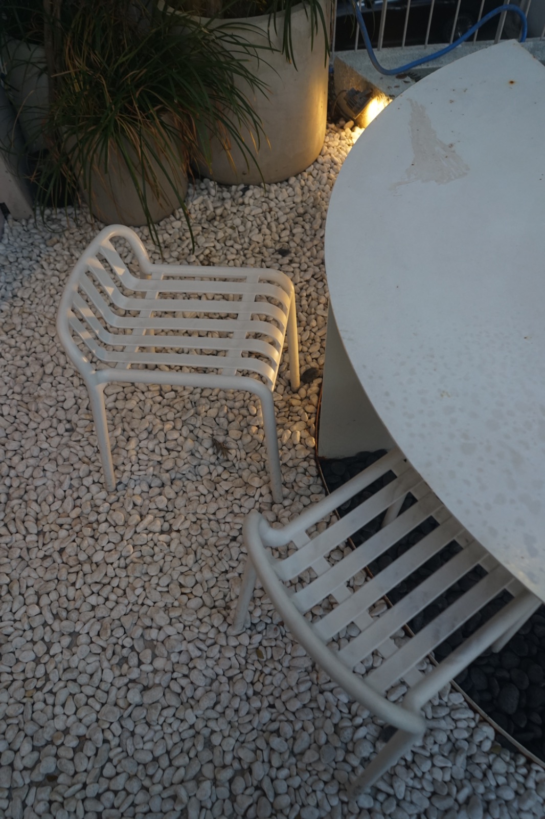 RAINFOREST hero image 3