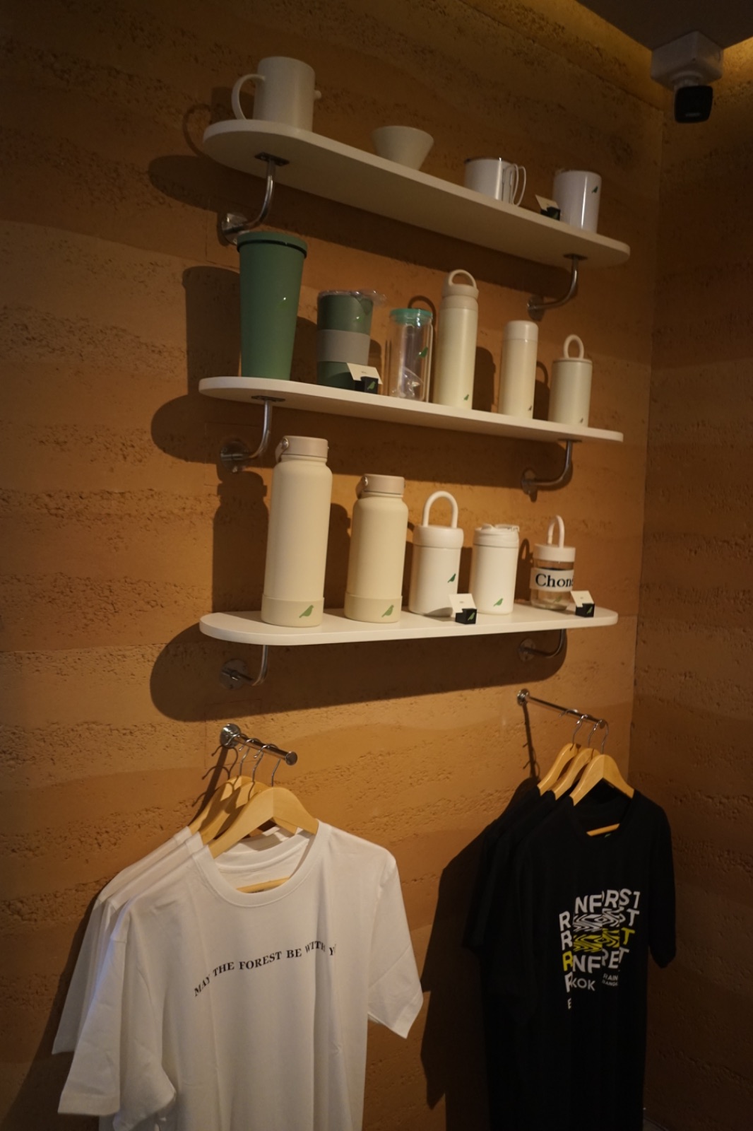 RAINFOREST ambiance image 1