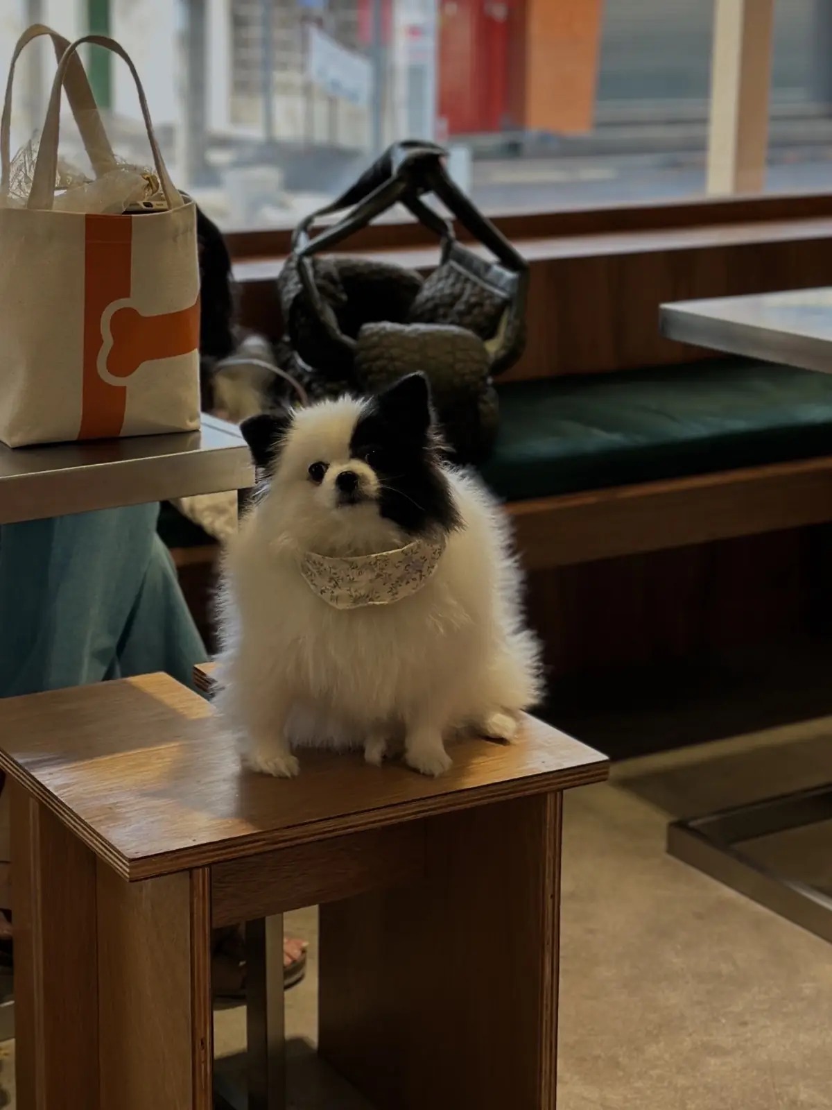 backofhouse coffee - Pattanakarn pets image 4