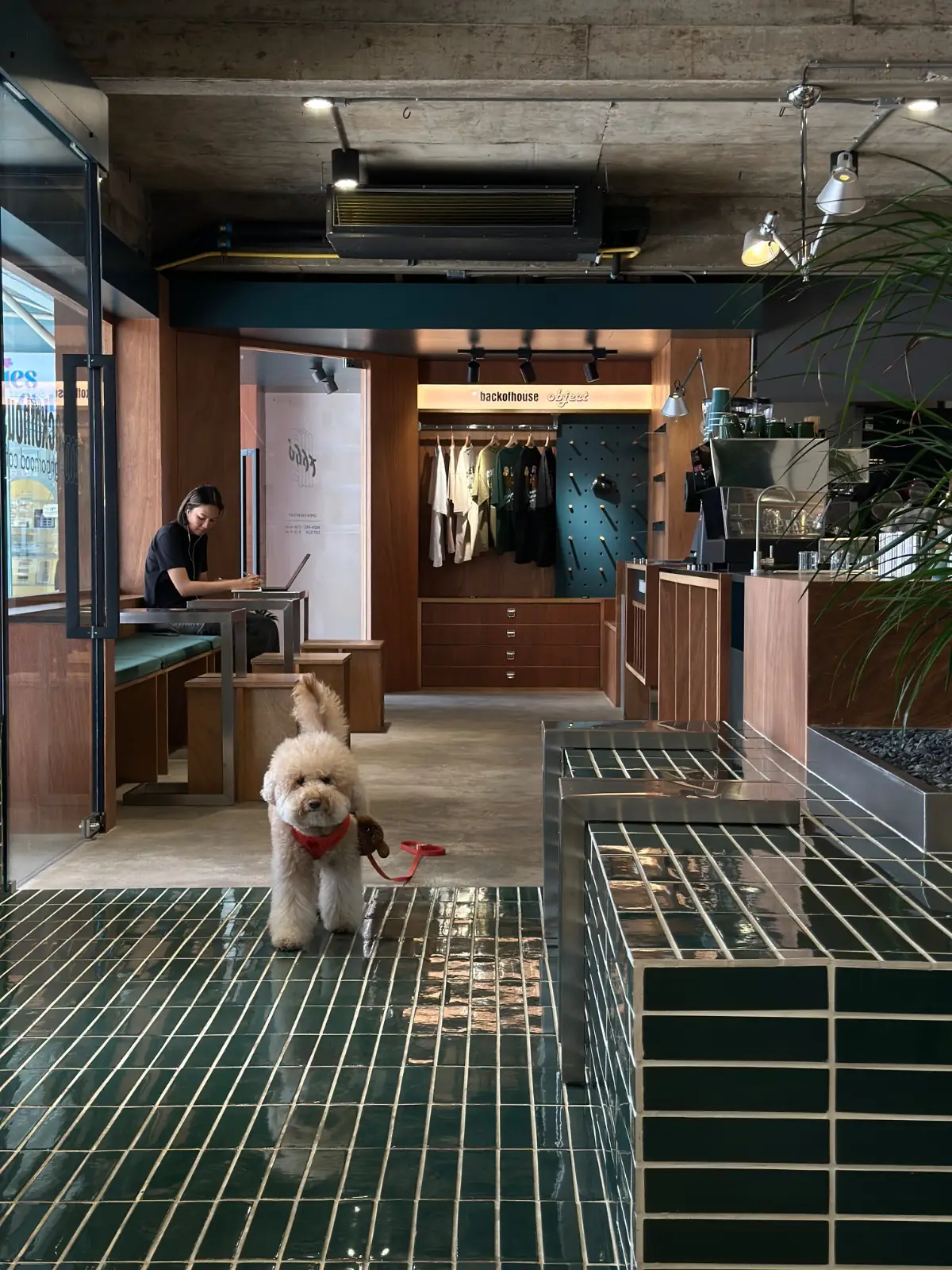 backofhouse coffee - Pattanakarn pets image 5