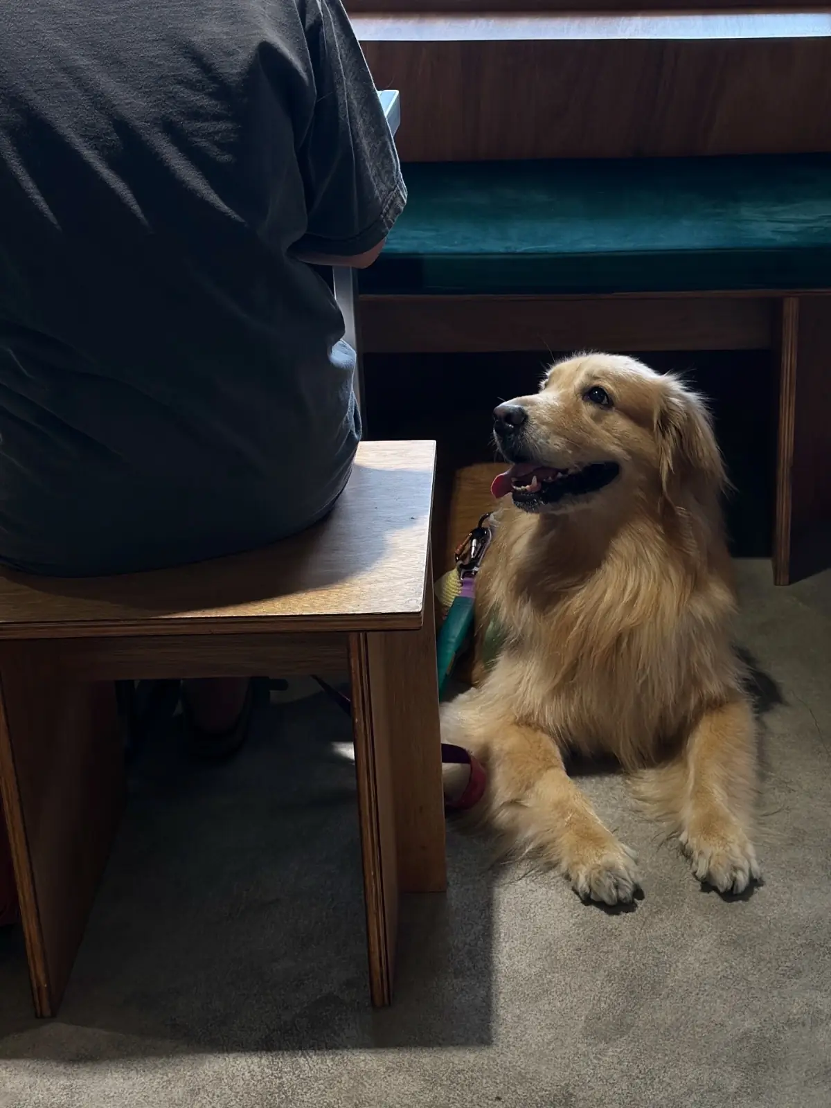 backofhouse coffee - Pattanakarn pets image 1