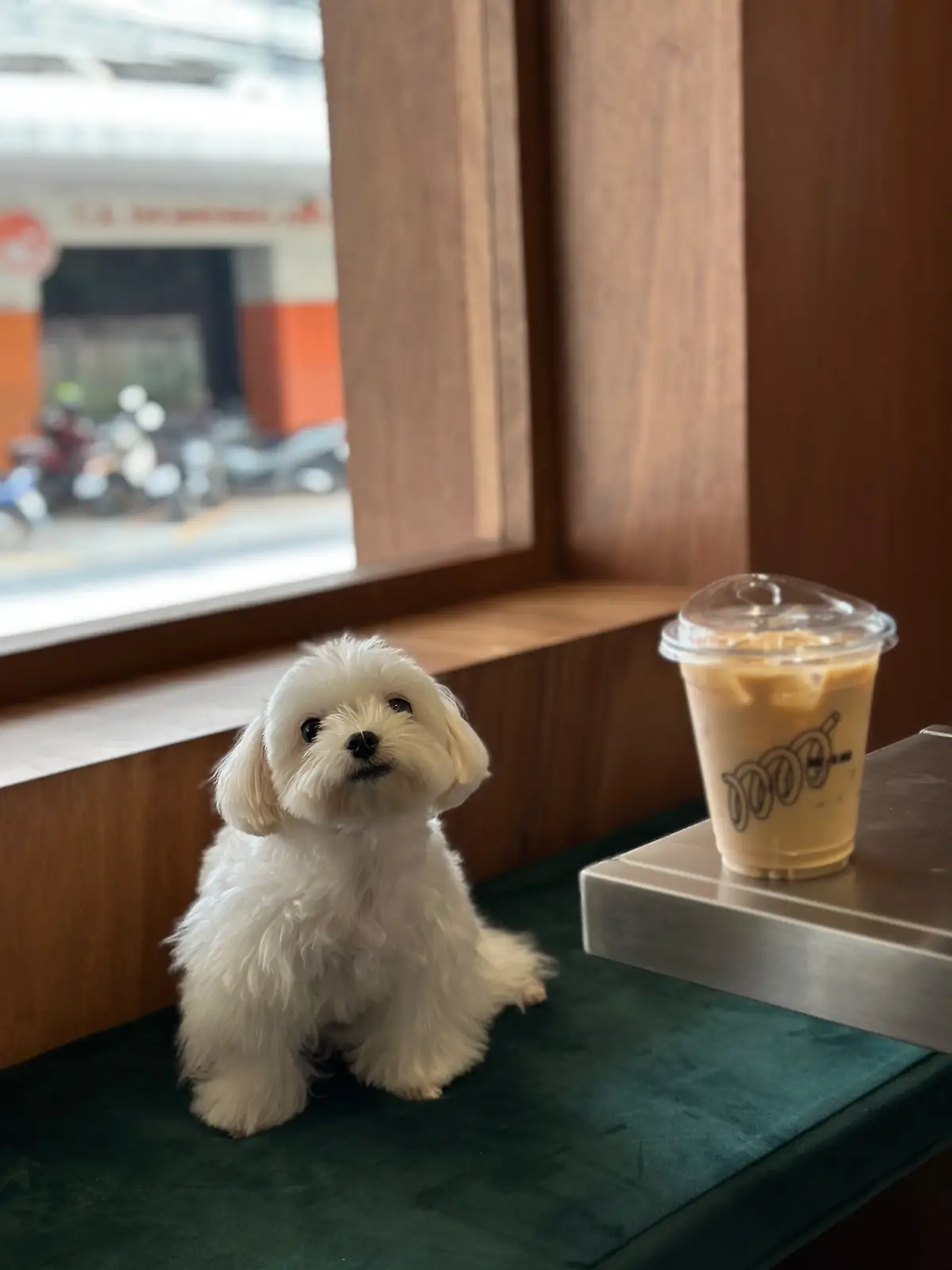 backofhouse coffee - Pattanakarn pets image 2