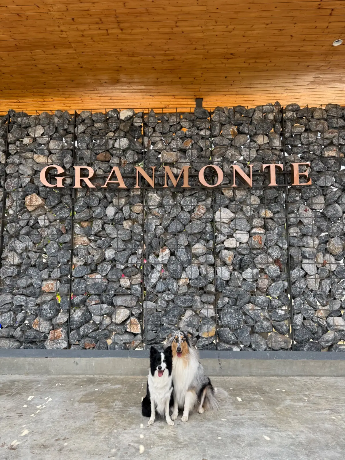 GranMonte Vineyard and Winery ambiance image 1