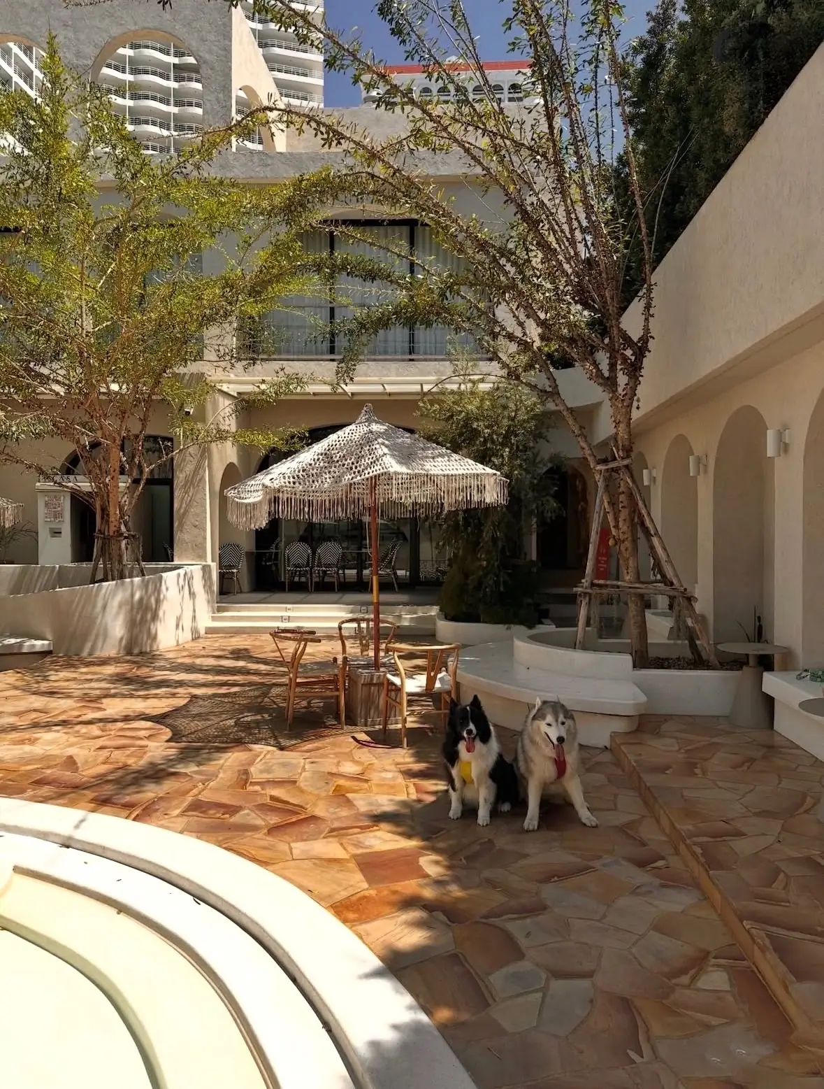 Casa Myka pets image 2